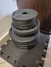 Dischi ghisa e manubri