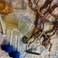accessori gabbia uccellini 