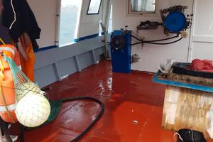 Imbarcazioni di vetroresina