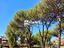 Immagine 19