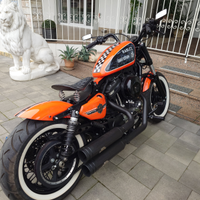 Harley Davidson 48 Special prima Mano