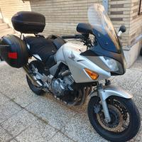 Honda CBF 600 – 67.000 km – Valigie + Bauletto – M