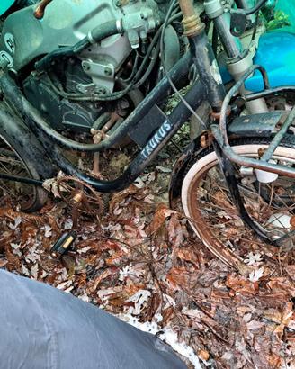 Bicicletta Taurus d'epoca.