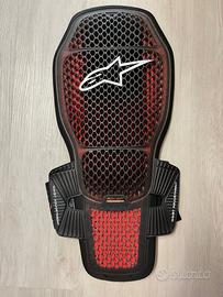 Paraschiena alpinestar