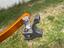 Immagine 6