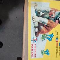 album panini degli animali 