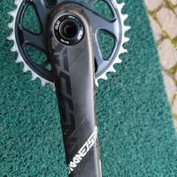Guarnitura carbon descedant