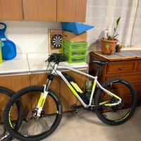 Bicicletta elettrica