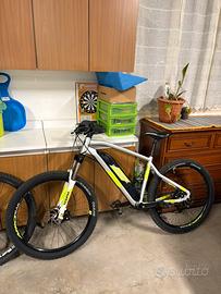 Bicicletta elettrica