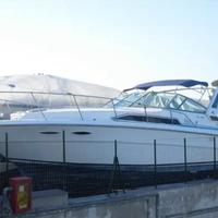 Sea Ray Sundancer 310