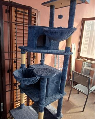tiragraffi Catello gatti cuccia cuscino 