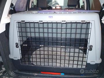 trasportino auto grande