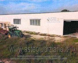 Azienda Agricola Collazzone [A4312102]