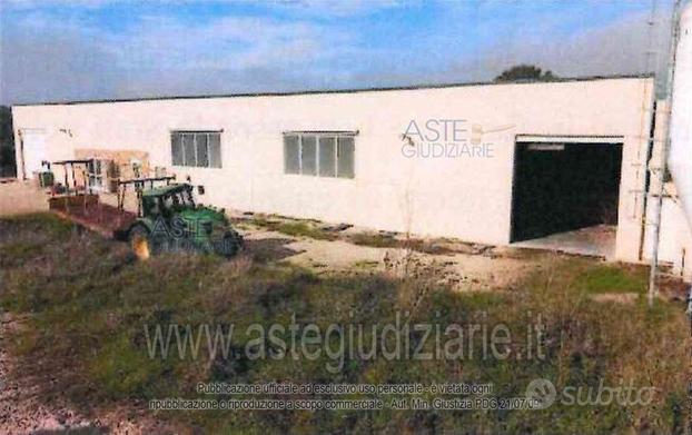 Azienda Agricola Collazzone [A4312102]