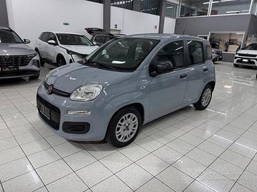 Panda 1.0Hybrid IN BELLA