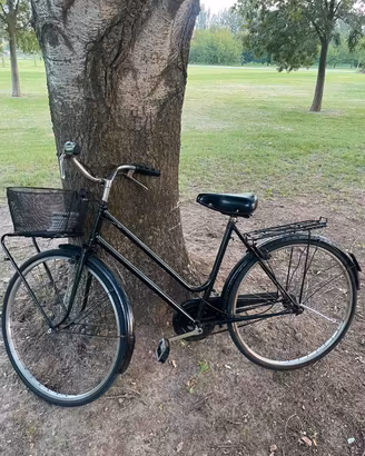 Bici da donna  con lucchetto