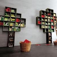 libreria albero lago