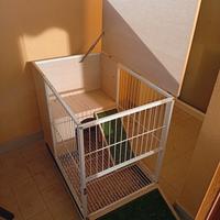 gabbia per conigli nani