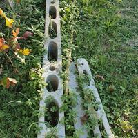 Pali cemento per vigneto giardino