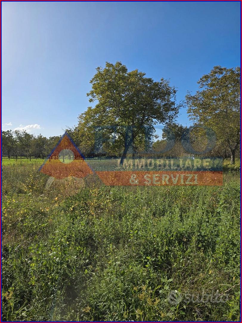 Terreno agricolo di 3.700 mq - Vista 3