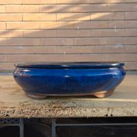 vaso bonsai ovale