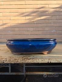 vaso bonsai ovale