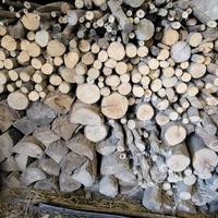 legna da ardere cucinare riscaldamento