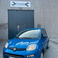 Fiat panda icon ibrida