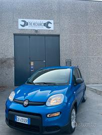 Fiat panda icon ibrida