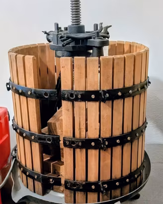 Torchio per uva da 45