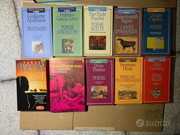 Raccolte di poesie