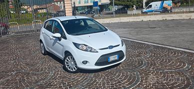 Ford Fiesta 1.4 96CV aut. 5 porte Titanium