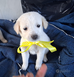 Pollicina due mesi aspetta te