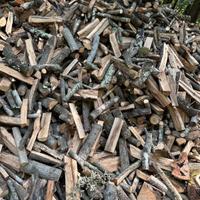 legna da ardere di quercia e cerro