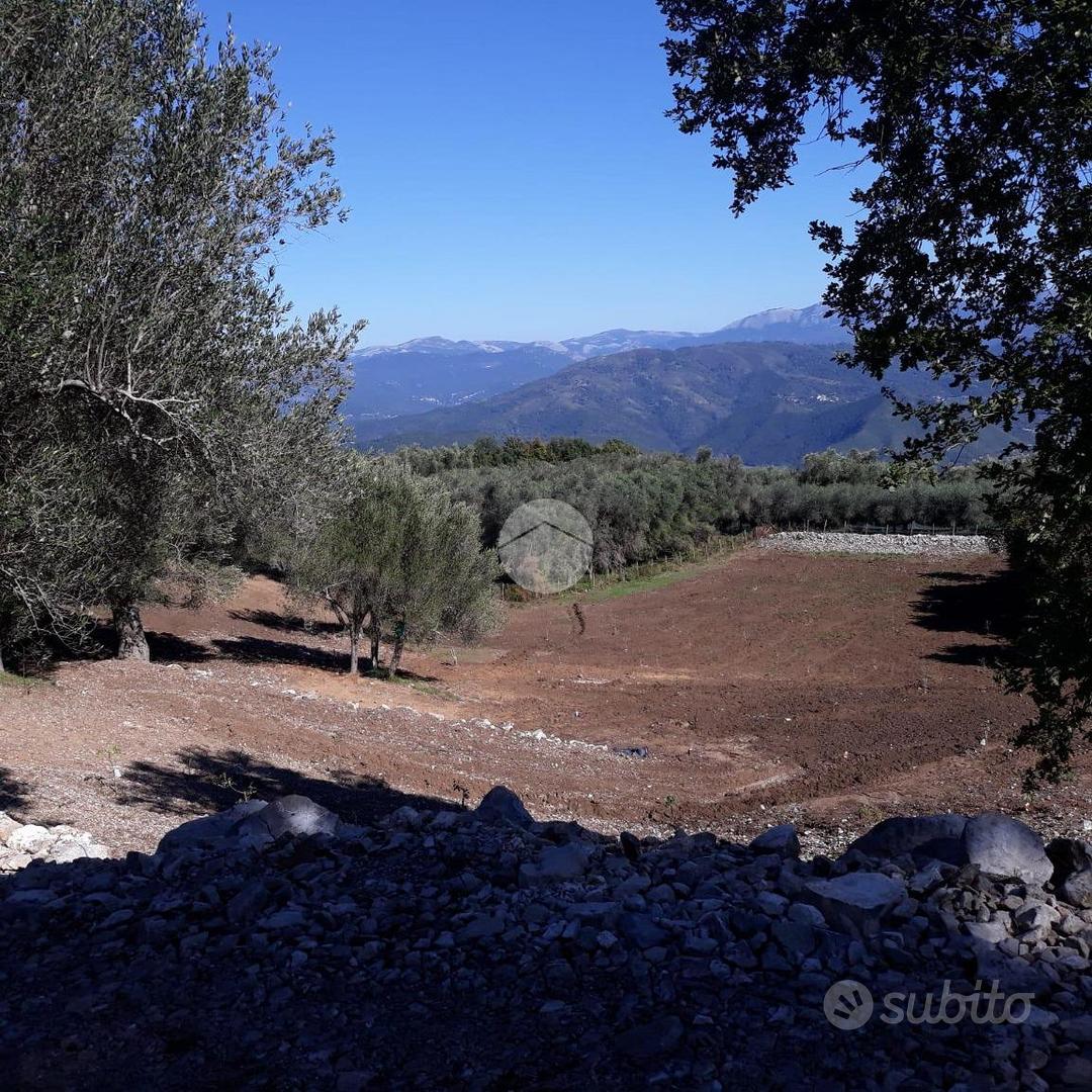 TER. AGRICOLO A SAN GIOVANNI A PIRO - Altro