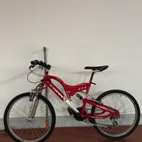 Bicicletta mountain bike
