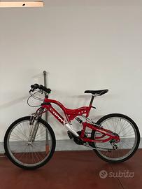 Bicicletta mountain bike