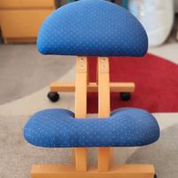 Sedia ergonomica-solo conversazi su chat di Subito