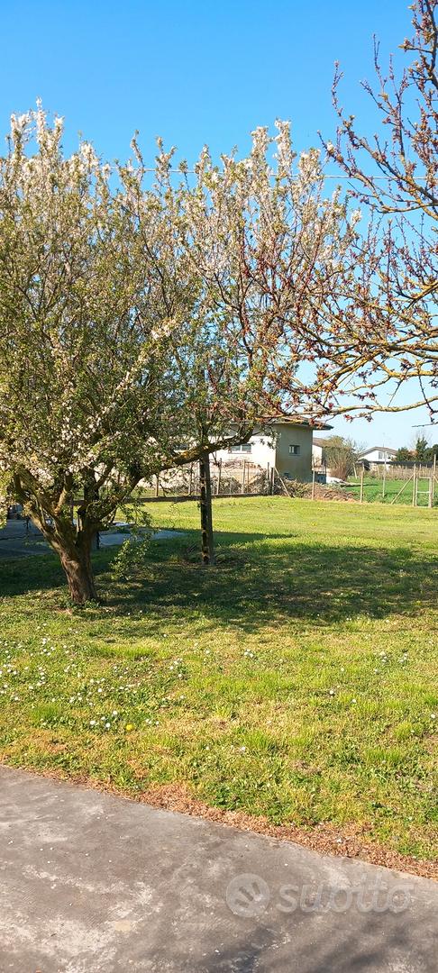 capannone e terreno - Altro