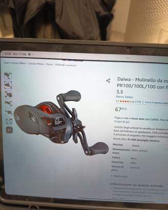 Mulinello baitcastig daiwa