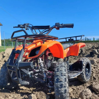 Lem 2025 MiniQuad RNG MAXI 6 Mini Quad Cross Semin