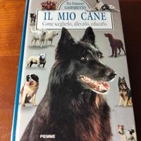 il mio cane 