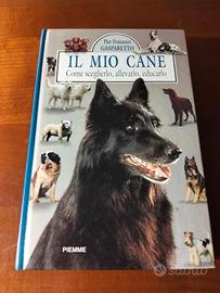il mio cane 