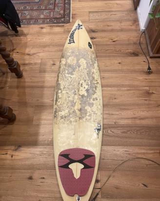 Tavola surf
