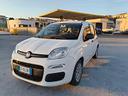 fiat-panda-cross-1-0-firefly-s-s-hybrid