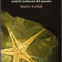 Libro sui fossili, paleontologia