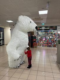 Mascotte orso polare 2.60m