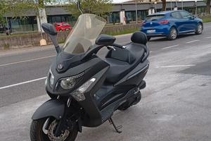 Scoter
