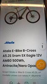 bicicletta assistita 