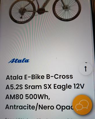 bicicletta assistita 